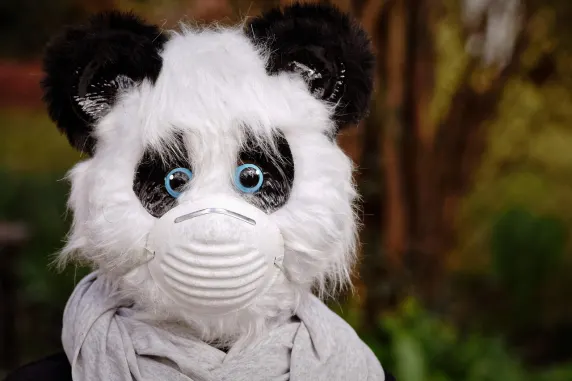 BigAzart Kasino Podpora